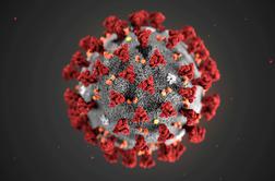 Po svetu kroži osem vrst novega koronavirusa