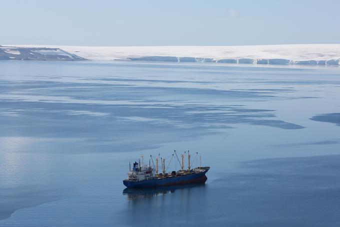 Antarktika, ribiška ladja | Foto: Reuters