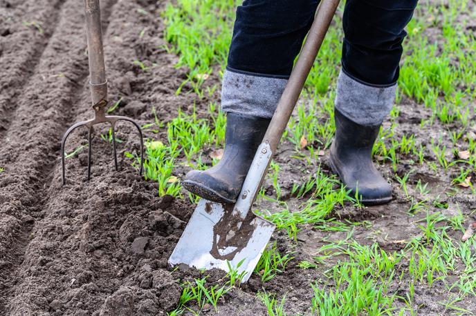 vrt, sajenje, vrtnarjenje, pomlad | Vrt je treba pred novo sezono ustrezno pripraviti: prekopati, pognojiti in razrahljati. | Foto Shutterstock