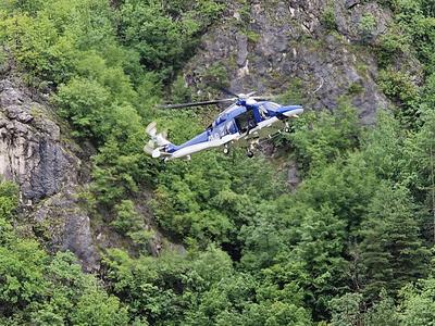 V gozdu v Poljanski dolini prišlo do tragedije