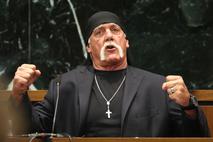Terry Bollea, Hulk Hogan