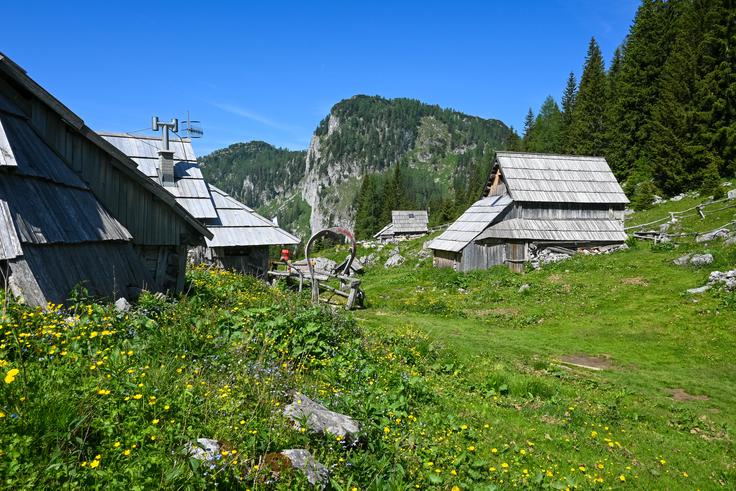 Idilična planina Viševnik | Foto: Matej Podgoršek