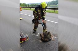Nevsakdanja nesreča: voznik trčil v skalo na cesti, posredovali so gasilci #foto