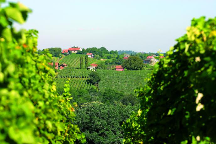 Wine&Walk: pristni užitki Medžimurja tudi v enem dnevu