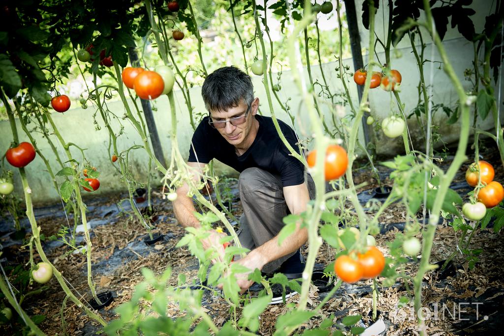 Ekološka kmetija Burgar Darko