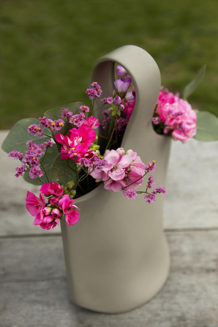 pelargonije_grayling | Foto: Pelargonium for Europe