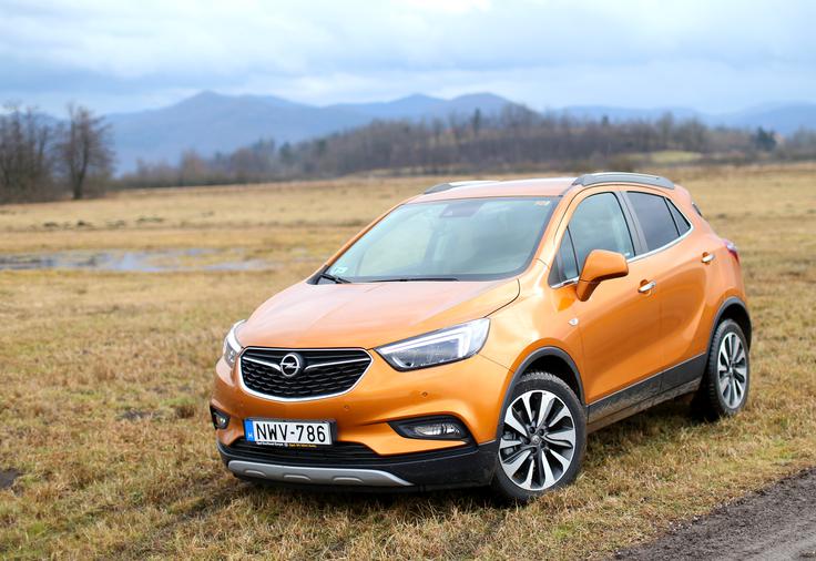 Opel mokka X Mokka ima lahko tudi štirikolesni pogon v kombinaciji z najmočnejšim motorjem. Oba delujeta zelo dobro, neučinkovita je le njuna kombinacija s samodejnim menjalnikom. | Foto: Gregor Pavšič