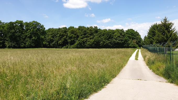 Na drugi strani prehoda je pot ob gozdičku, kamor prebivalci naselja hodijo na sprehode. | Foto: Metka Prezelj