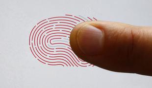 Senzorji prstnih odtisov so leta 2015 dobili nov zagon