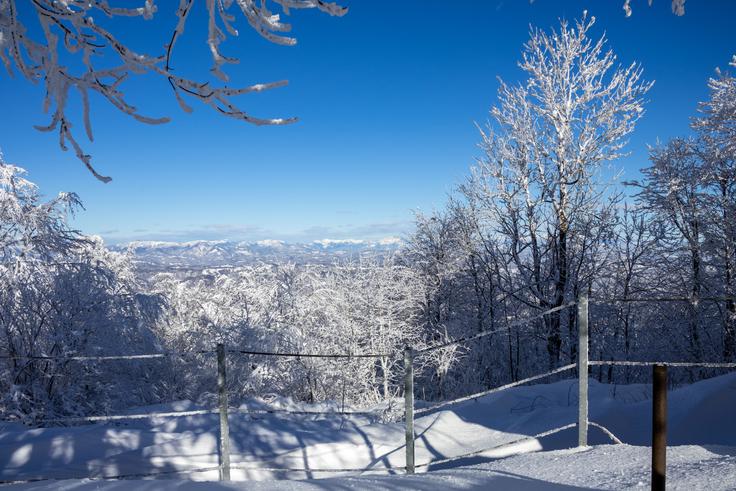 Tudi pri koči se nam odpre lep pogled proti severu. Nedaleč stran je smučišče Javornik, ki pa je zaprto. | Foto: Matej Podgoršek