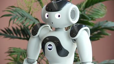 Roboti med nami: socializacija že v polnem teku