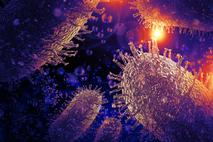 Steklina, virus