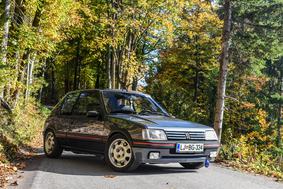 Jaz in moja legenda: Domen in peugeot 205 GTi