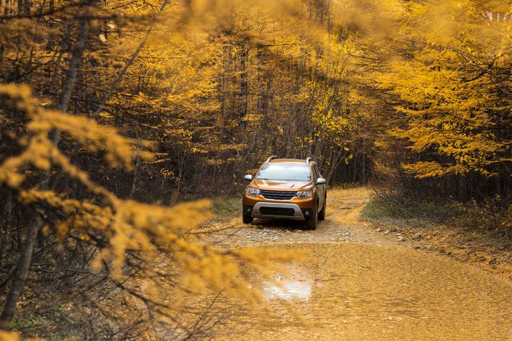 jesen, cesta, vožnja, varnost | Foto: Shutterstock