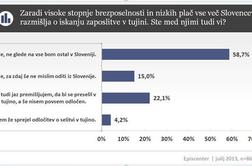 Skoraj vsak četrti Slovenec razmišlja o zaposlitvi v tujini