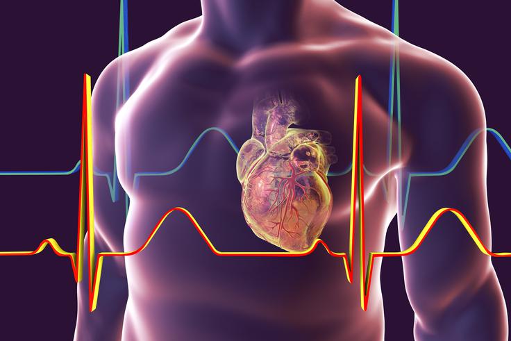 Srce | Foto: Thinkstock