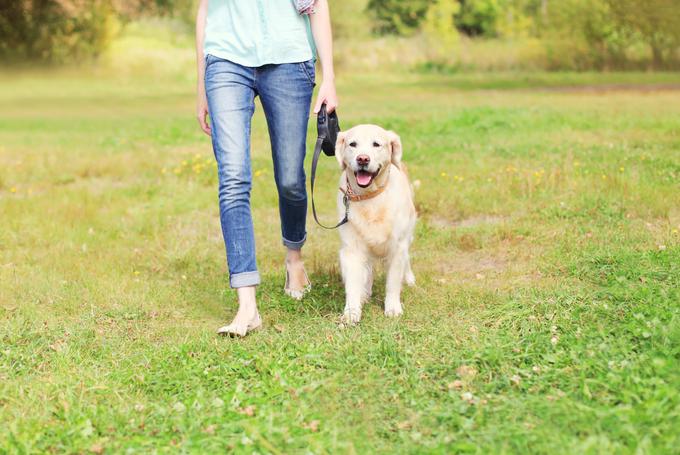 Peljite na sprehod psa iz pasjega zavetišča. Uživali boste prav tako kot on.  | Foto: Shutterstock