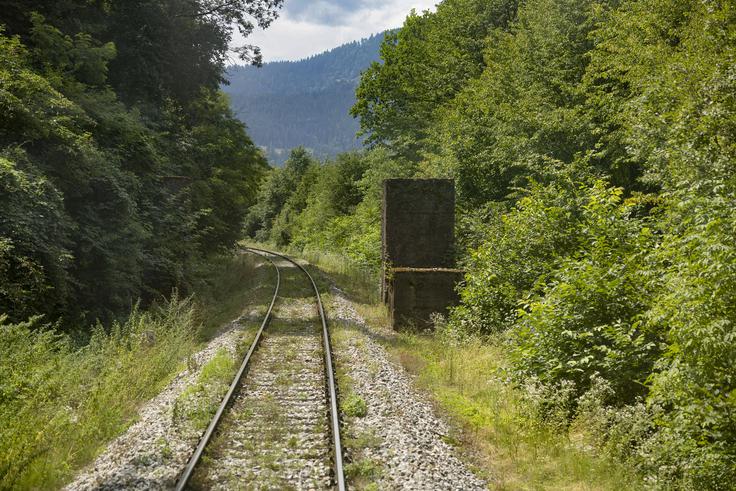 Betonski bloki na Koroški progi so del vsaj na tem koncu nekoliko manj znane Rupnikove linije, ki je varovala severni del proti Avstriji in je spadala v zadnji šesti sektor. Prvih pet sektorjev je sicer bilo na meji z Italijo. Betonske bloke je postavila Kraljevina Jugoslavija v 1930-ih letih. Podobne stebre so Nemci gradili tudi drugje. Vsi ti stebri so imeli minske komore, razstrelila pa bi jih vojska, ko bi to bilo potrebno - podobno kot mostove v času druge svetovne vojne. Da se ob miniranju ne bi popolnoma porušil, je v njem zabetoniranih veliko tirnic. Podrti steber bi nato padel na tire, kar bi preprečili prevoz vlakov. V medtirju je bila betonska zagozda, ki bi preprečevala odrivanje stebra s kakšno lokomotivo ali bagerjem.
 | Foto: Ana Kovač