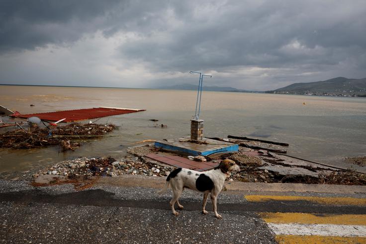 Grčija, poplave Grčija, poplave | Foto: Reuters