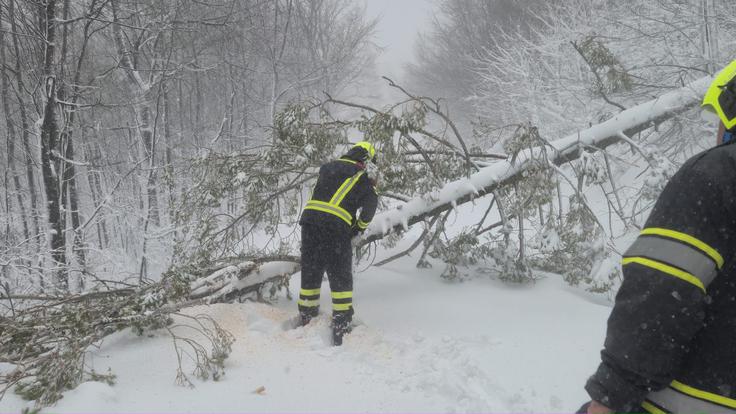 reševanje na Sljemenu | Foto: Občina Zagreb