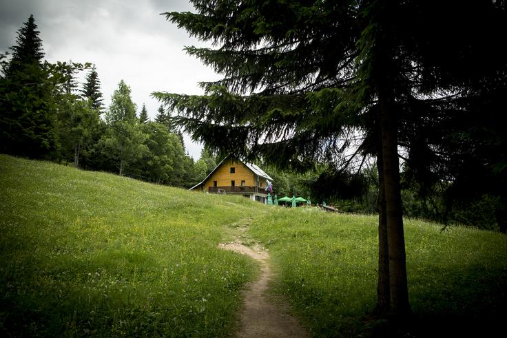 Karavana vseslovenske akcije Gremo v hrivbe se bo jutri, 24. avgusta 2019, ustavila v Kosijevem domu na Vogarju. | Foto: Ana Kovač