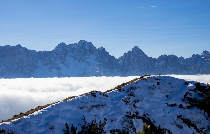 Ko zlate macesne nasledi zimska pravljica #video