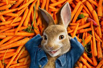 Peter Zajec (Peter Rabbit)