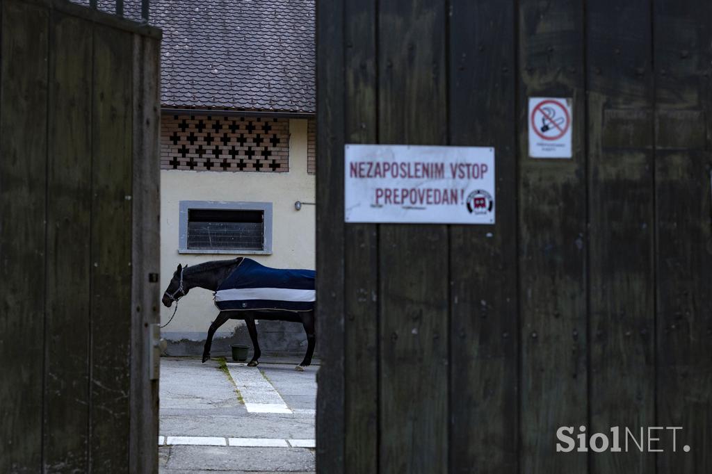 Pedagoško raziskovalni center za konjerejo Krumperk