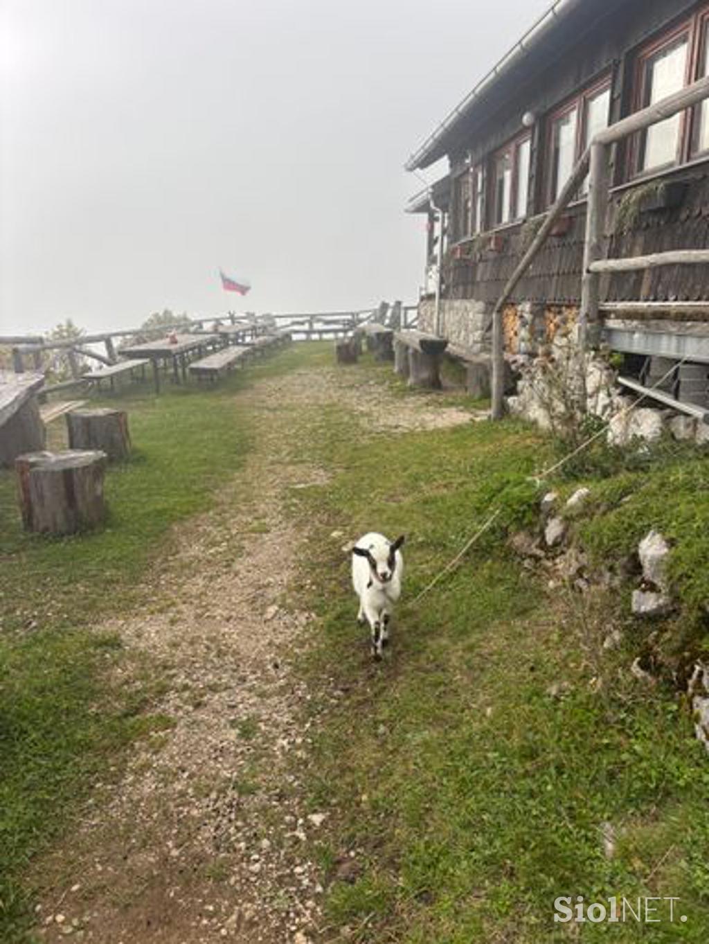 Žiga Papež, šesti dan