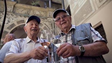 Dvignjeni vinski kozarci v pozdrav poletju