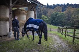 Pedagoško raziskovalni center za konjerejo Krumperk