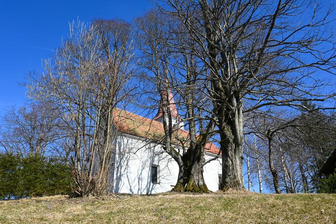 Nasproti Velikega Slomnika se dviga greben Šmohorja s cerkvijo sv. Mohorja in planinskim domom. | Foto: Matej Podgoršek