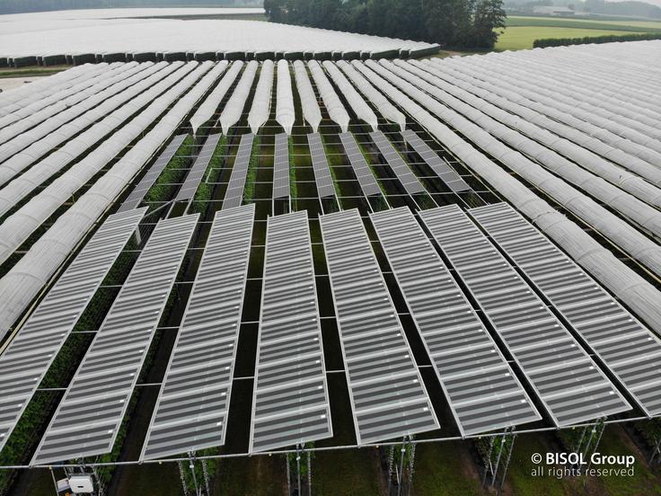Lumina_agrivoltaic_CR | Foto: BISOL Group