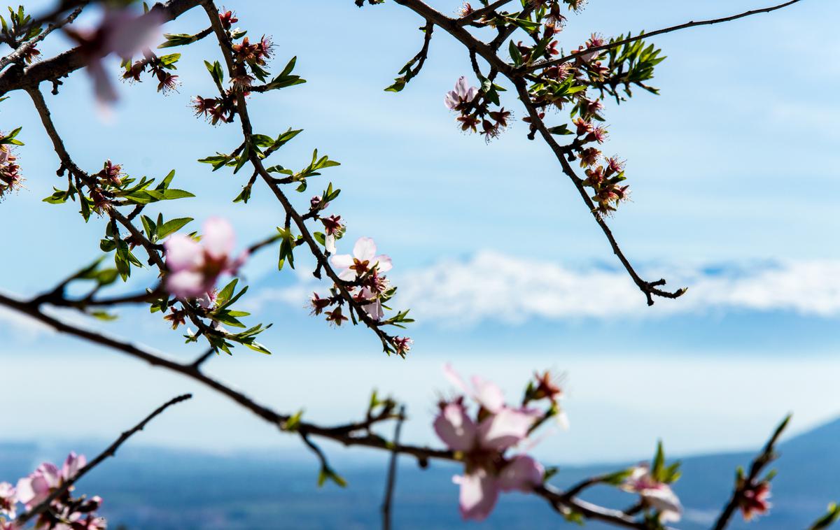 pomlad, Sierra Nevada | Foto Thinkstock