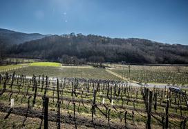 VN Nove Gorice in Vipavske doline