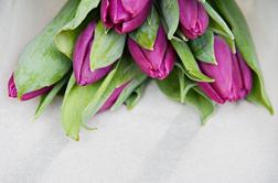 Ideja za valentinovo: cvetlice na steni