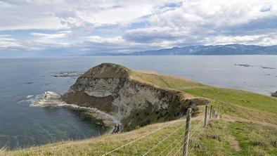 Kaikoura, mesto kitov in lahkih pohodov