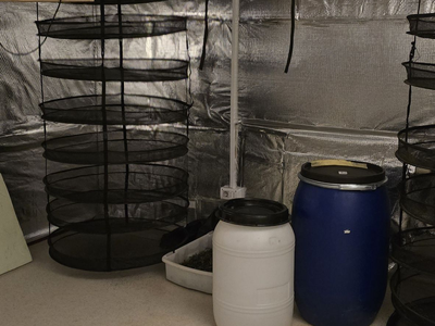 30-letnik v prirejenem laboratoriju skrival 180 sadik konoplje