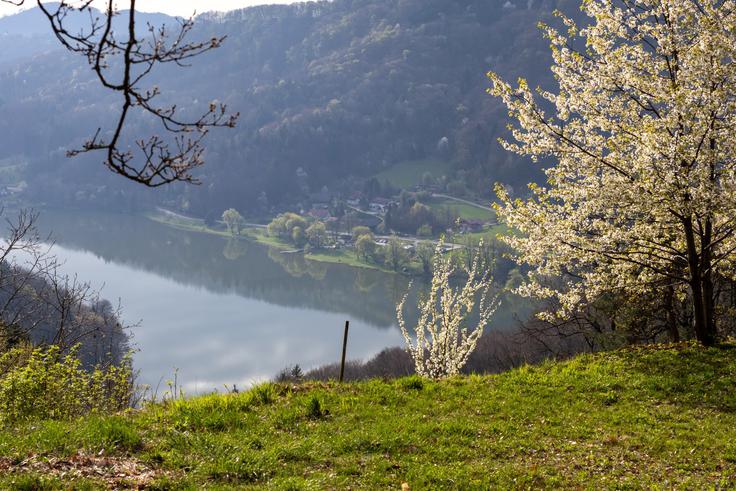Pogled z Gradišča na Slivniško jezero. | Foto: Matej Podgoršek