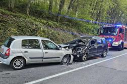 Zaradi pijanega voznika na Dolenjskem več oseb v bolnišnici #foto