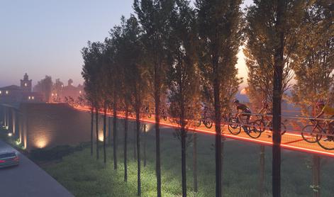 Načrtujejo kolesarsko stezo, ki bo vodila skozi krošnje dreves #foto