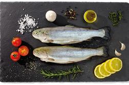Kam po najboljše ribe in druge morske jedi? #recepti