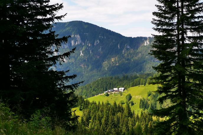 Kmetija Bukovnik (Bukovc), ki velja za najvišjo ležečo kmetijo v Sloveniji | Foto STA