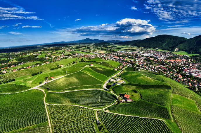 Zlati grič, 20 let | Prebujeni vinogradi Zlatega griča nad Slovenskimi Konjicami vas vabijo na sprehod in pobeg v pomirjajočo naravo.  | Foto Zlati grič