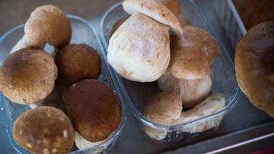 Brezmesni ponedeljek: Gobe, okus jeseni