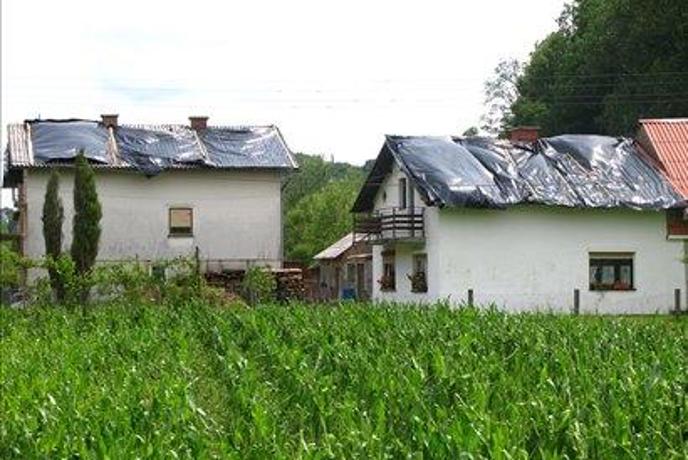 SLS poziva vlado k aktivni obrambi pred točo
