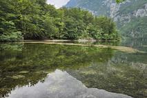 Bohinjsko jezero