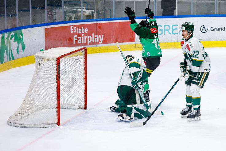 HK Olimpija Ferencvaros | Foto: Aleš Fevžer