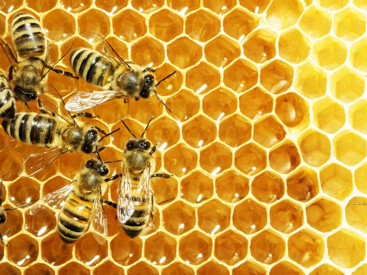 Lamorix kozmetika, Elixir | Foto: Shutterstock