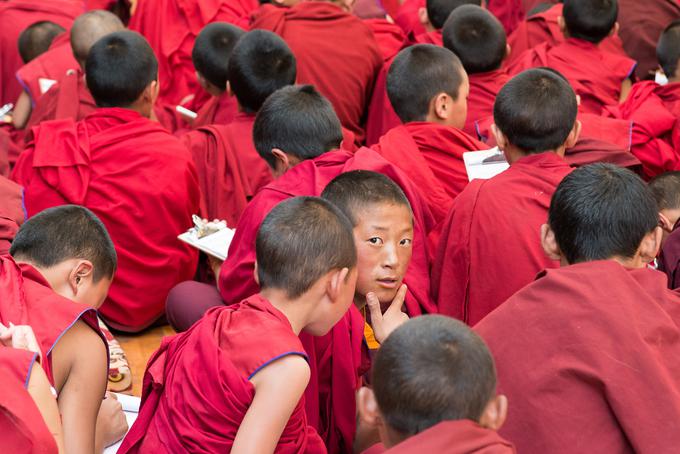 Bolta je imel možnost prisostvovati pri pouku v samotanu Litang na Kitajskem. | Foto: Tadej Bolta